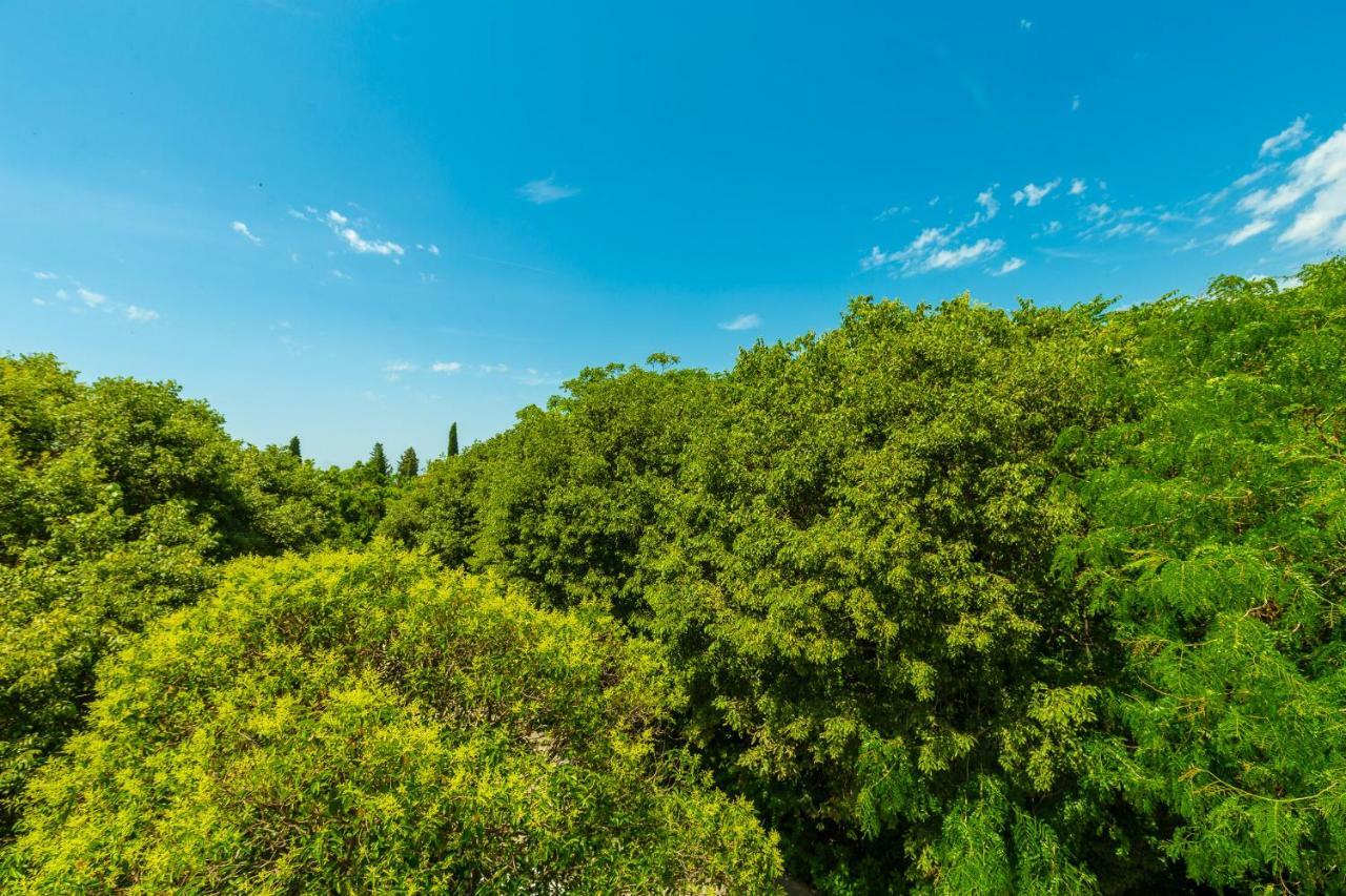 Hedera Estate, Hedera A1 Dubrovnik Exterior foto